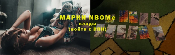 стаф Богородск