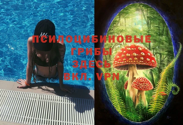 каннабис Аркадак