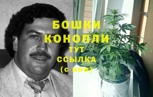 стаф Богородск